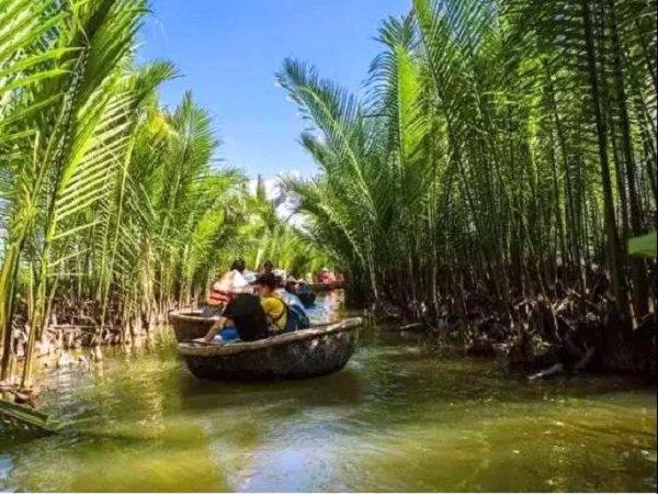 珍贵树种——水椰