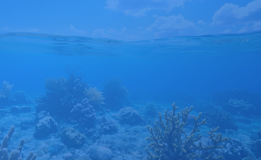 海洋生态保护修复