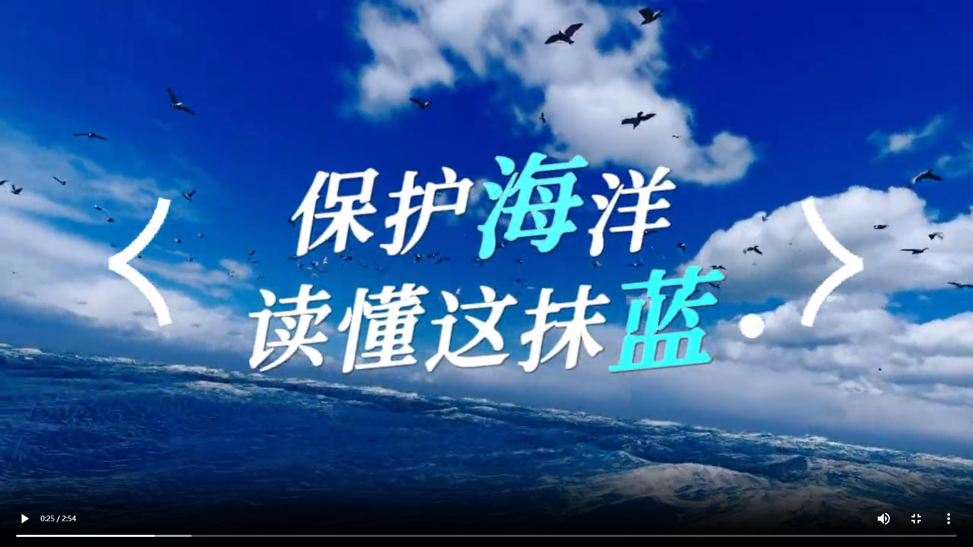 世界海洋日 | “保护海洋 读懂这抹蓝”