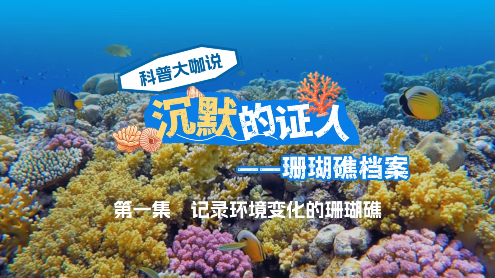 科普大咖说《沉默的证人——珊瑚礁档案 第一集 记录环境变化的珊瑚礁》