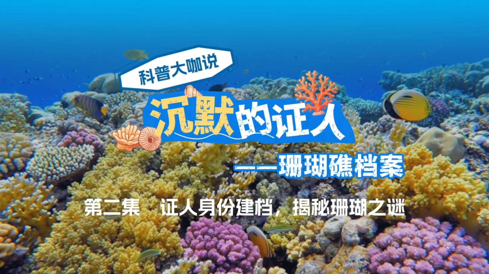 科普大咖说《沉默的证人——珊瑚礁档案 第二集 证人身份建档，揭秘珊瑚之谜》