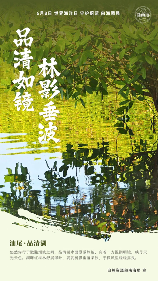 世界海洋日 | 品清湖畔 蟹语呢喃